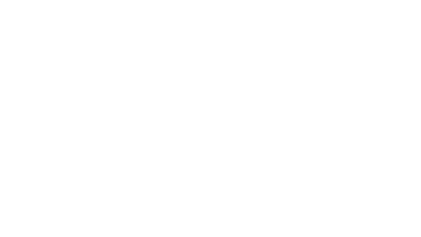 LF-Acessórios
